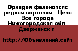Орхидея фаленопсис редкая сортовая › Цена ­ 800 - Все города  »    . Нижегородская обл.,Дзержинск г.
